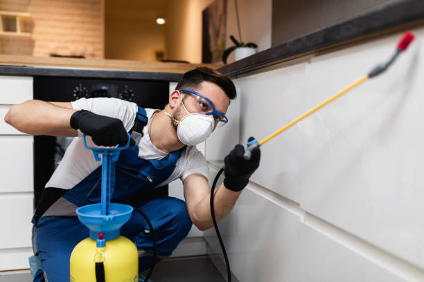 Best Emergency Pest Control  in Clarkson, KY