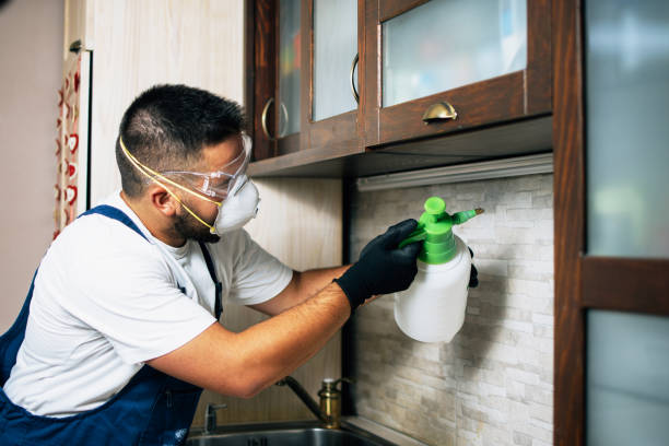 Trusted Clarkson, KY Pest Control Experts