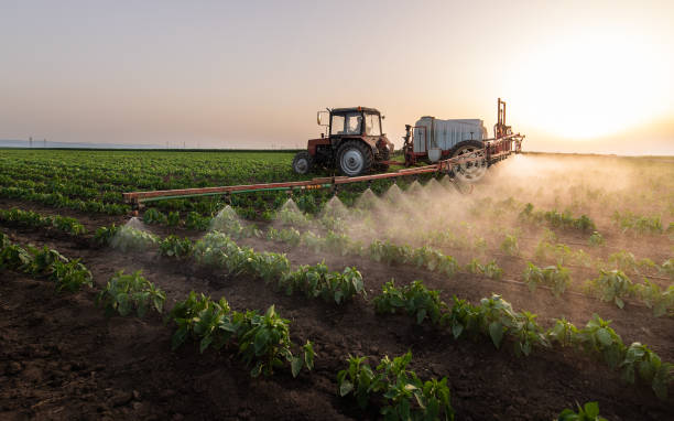 Best Mosquito Control Services  in Clarkson, KY