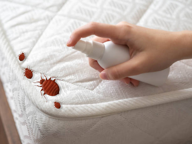 Best Best Pest Control Companies  in Clarkson, KY